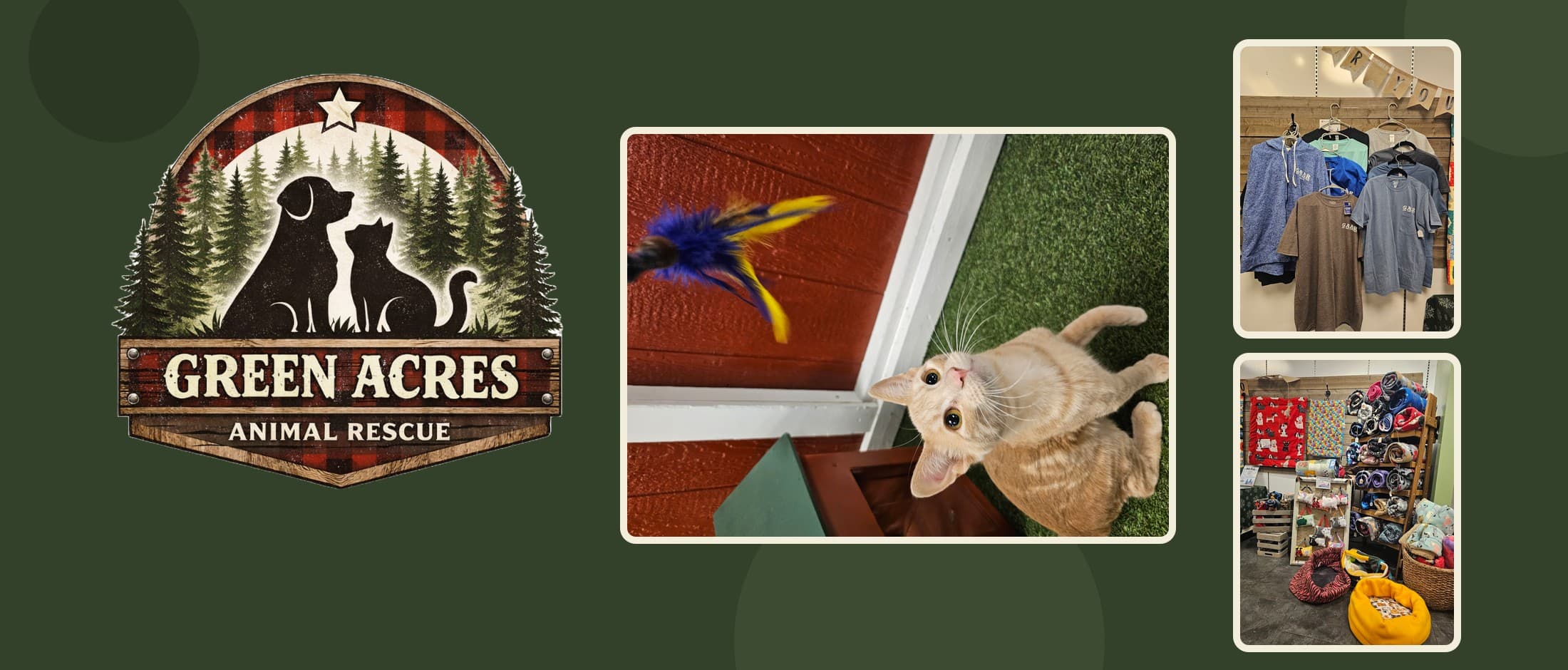 Green Acres Animal Rescue badge logo beside photos of a rescue kitten, the rescue's merch rack and pet beds at its St. Cloud store